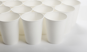 Biodegradable White Paper Cups - Takeaway Food Containers Singapore